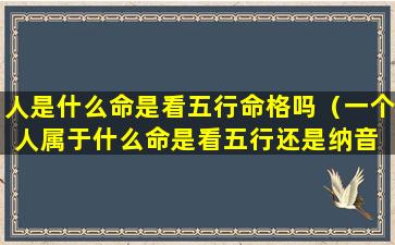 人是什么命是看五行命格吗（一个人属于什么命是看五行还是纳音 🐼 ）